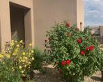 12 Via Optima - Photo 52