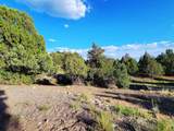5 Oak Brush Lane - Photo 15