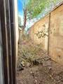 428 Chama Street - Photo 8