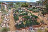1893 Conejo Drive - Photo 31