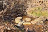 1433 Upper Canyon Road - Photo 52