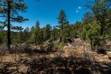 30 Monte La Cueva Road - Photo 12