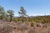 30 Monte La Cueva Road - Photo 14
