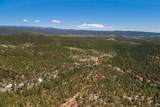 30 Monte La Cueva Road - Photo 16