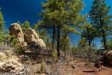 30 Monte La Cueva Road - Photo 33