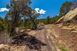 30 Monte La Cueva Road - Photo 34
