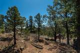 30 Monte La Cueva Road - Photo 45