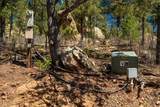 30 Monte La Cueva Road - Photo 7
