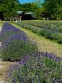 PURPLE ADOBE LAVENDE Farm 25 Private Drive  1622 - Photo 27