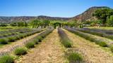 PURPLE ADOBE LAVENDE Farm 25 Private Drive  1622 - Photo 41