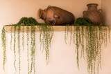 831 Ninita - Photo 25