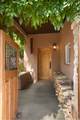 831 Ninita - Photo 28