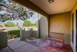 3193 La Avenida De San Marcos - Photo 4