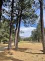 42 Alta Vista - Photo 81