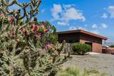 49 Blue Agave - Photo 27