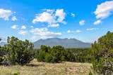 49 Blue Agave - Photo 28