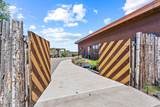 49 Blue Agave - Photo 32