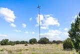 49 Blue Agave - Photo 34
