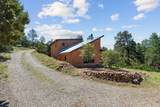 51 Old Forest Trail - Photo 1