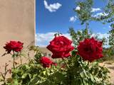 12 Via Optima - Photo 48