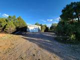 5 Oak Brush Lane - Photo 24