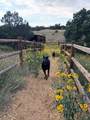 32 Two Horse Trail - Photo 41