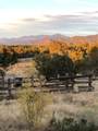 32 Two Horse Trail - Photo 42