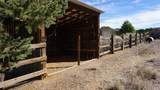 32 Two Horse Trail - Photo 48