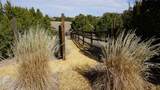 32 Two Horse Trail - Photo 49