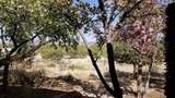 32 Two Horse Trail - Photo 5