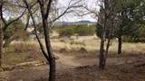 32 Two Horse Trail - Photo 6