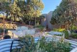 2160 Paseo Iglesias - Photo 58