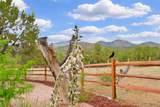 14 Verano Loop - Photo 52