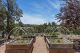 36 San Sebastian Road - Photo 36