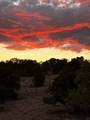 19 Sunrise Vista - Photo 42