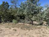 436 Apodaca Hill - Photo 23