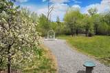 7 Camino De Pastores - Photo 44