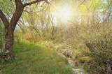 7 Camino De Pastores - Photo 48