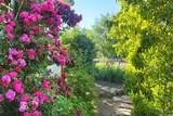 7 Camino De Pastores - Photo 56