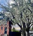 1054 7th Street - Photo 55