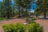 101 & 200 Meadow Lane - Sky Fire Premier Estate Compound - Photo 42