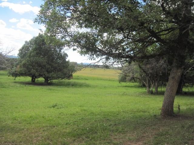 Tract 3, 4 Private Dr. Off Highway 84 - Photo 1