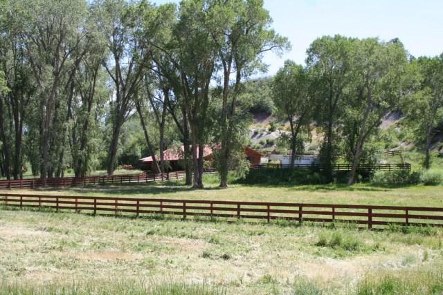 16159 Highway 84/64 - Photo 1