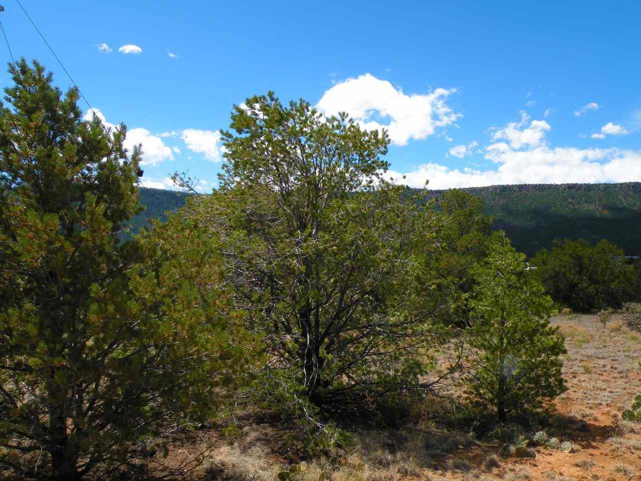 Tract H-1 Broken Arrow - Photo 1
