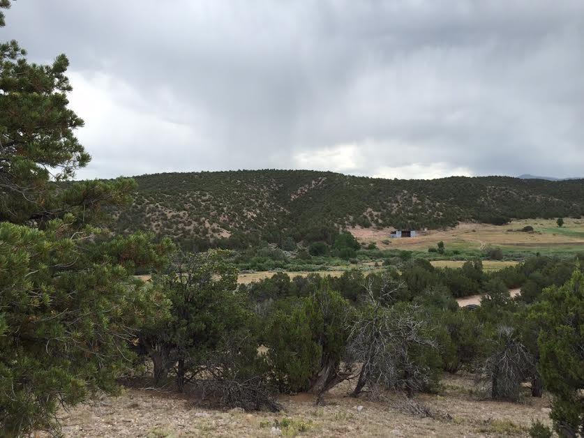 Lot 1 Apache Camp At Mountain Mission - Photo 1