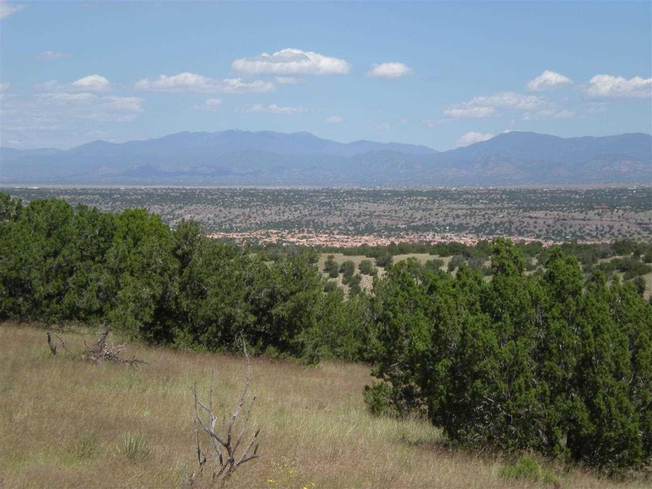 77 Blue Agave - Photo 1