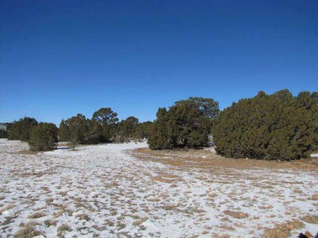 49 Broken Arrow Road - Photo 1
