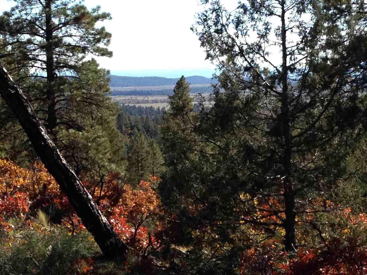 Unit 4 Tr 12, Ponderosa S/D - Photo 1