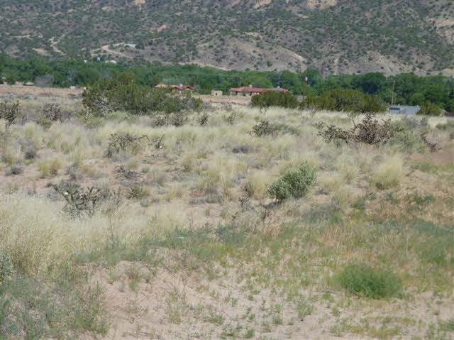 TRACT C C-1-A-1-A Of Cottonwood - Photo 1