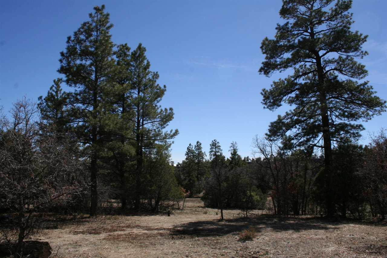 Lot 58 Lot 58 Lujan Drive Laguna Vista - Photo 1